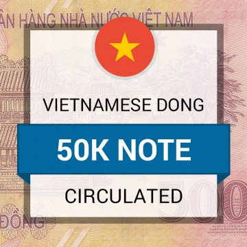 Customer Sale - Vietnamese Dong